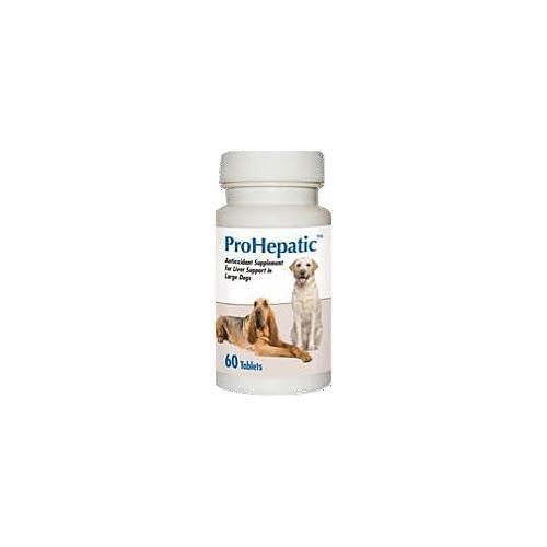Chewable Tablets for Large Dogs 60 count Q967703