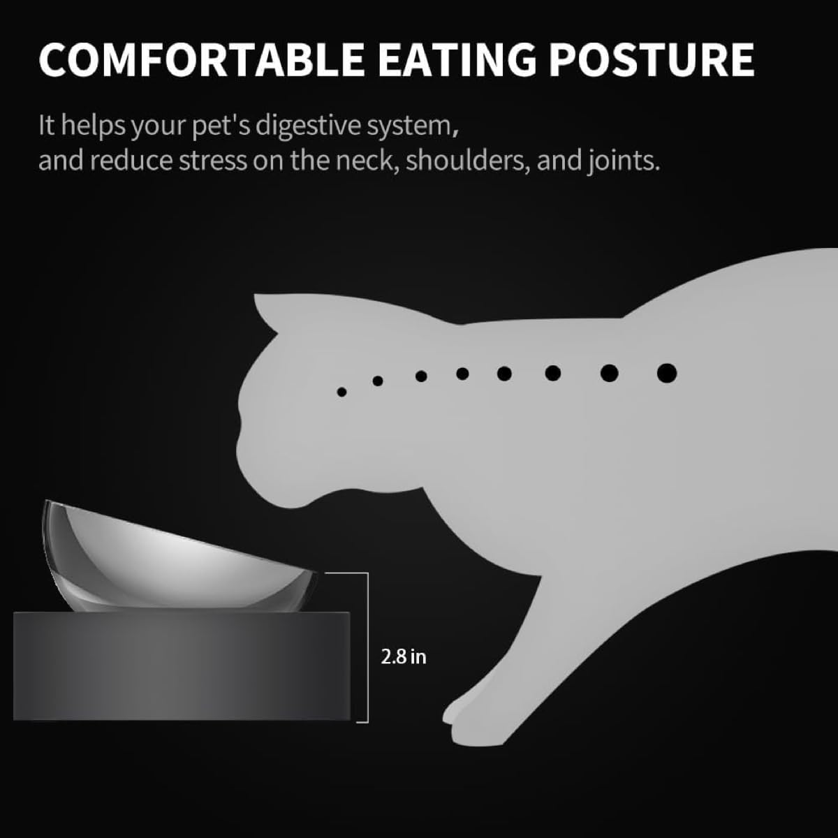 Elevated Dog Cat Bowl with 2 Stainless Steel Bowls W768968