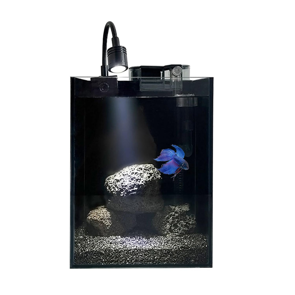 1.5 Gallon Glass Fish Tank Kit with Filter and LED Light R316
