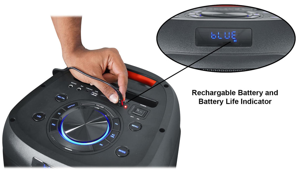 2000W Dual 8" LED Karaoke Speaker with Mic P5406