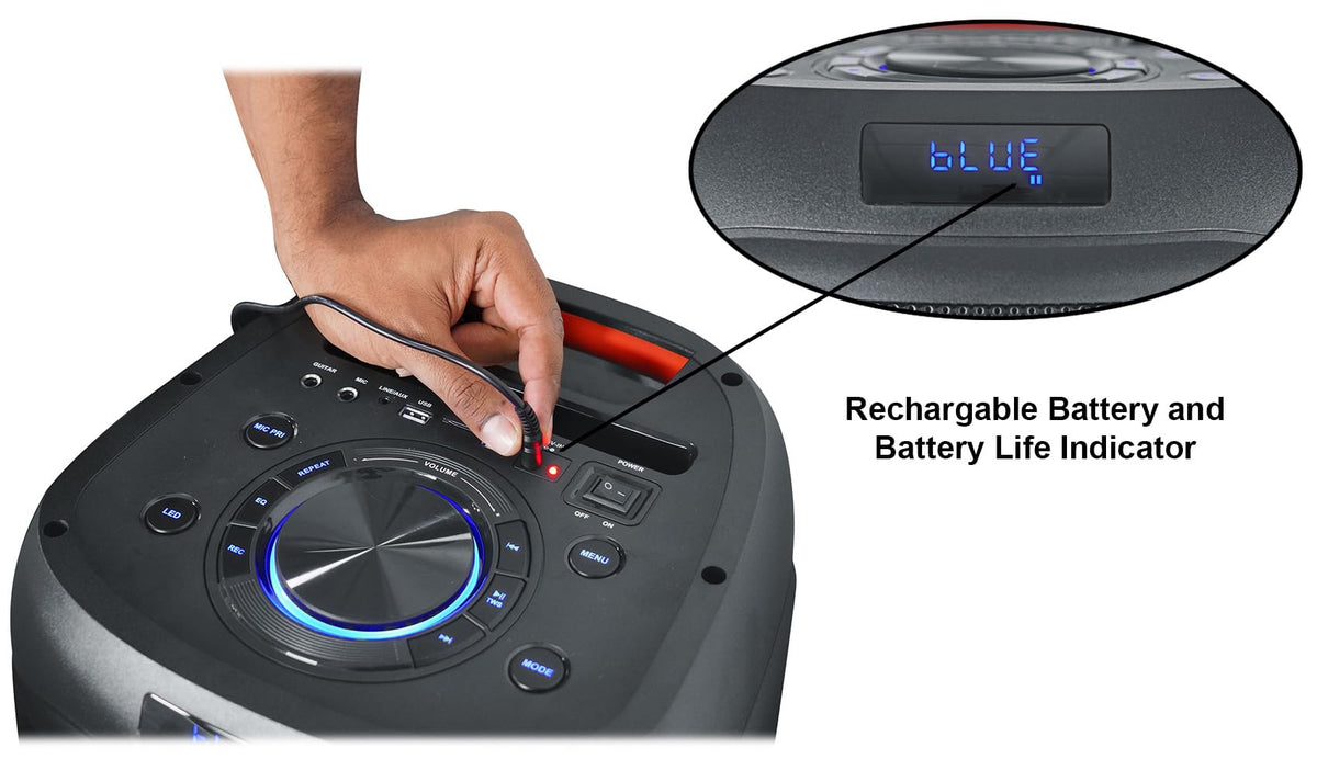 2000W Dual 8" LED Karaoke Speaker with Mic P5406