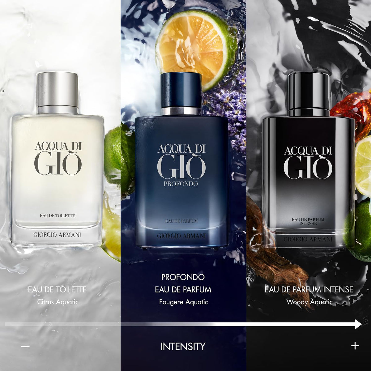 Cologne Discovery Fragrance Set W6029