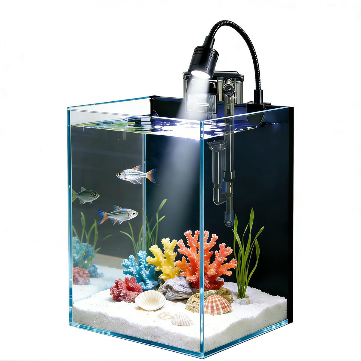 1.5 Gallon Glass Fish Tank Kit with Filter and LED Light R316