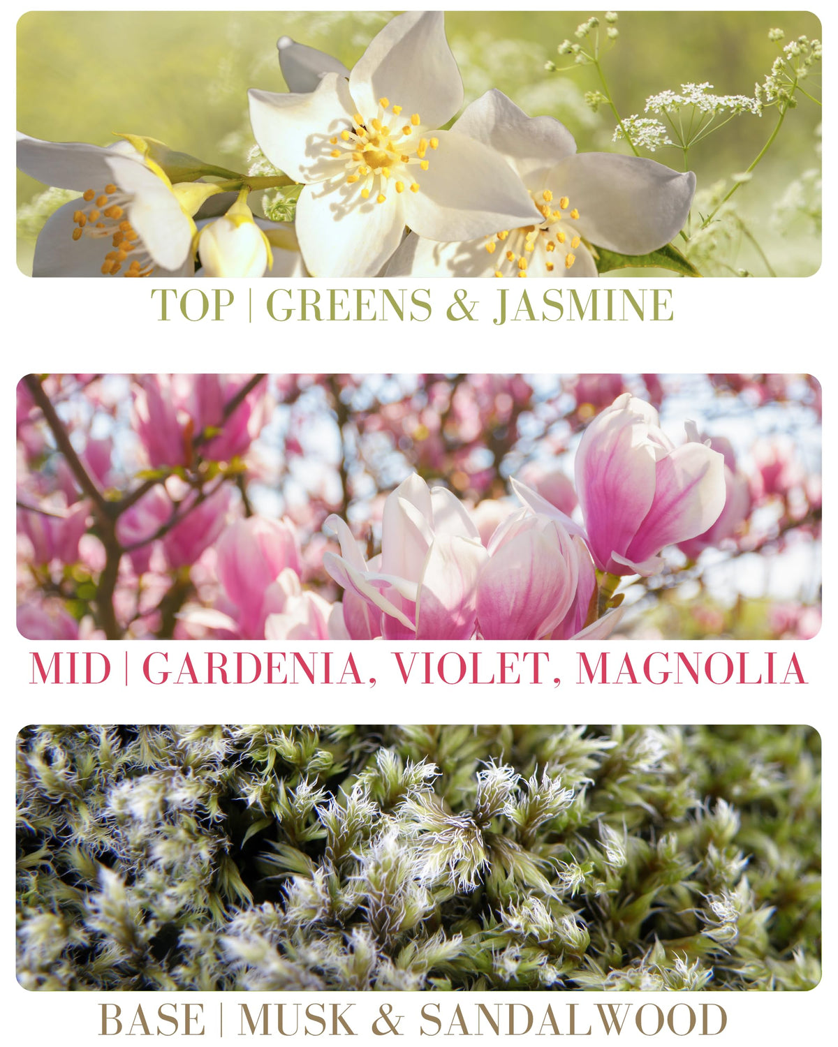 Gardenia Hair & Body Mist with Essential Oils, 15 ml Q651891