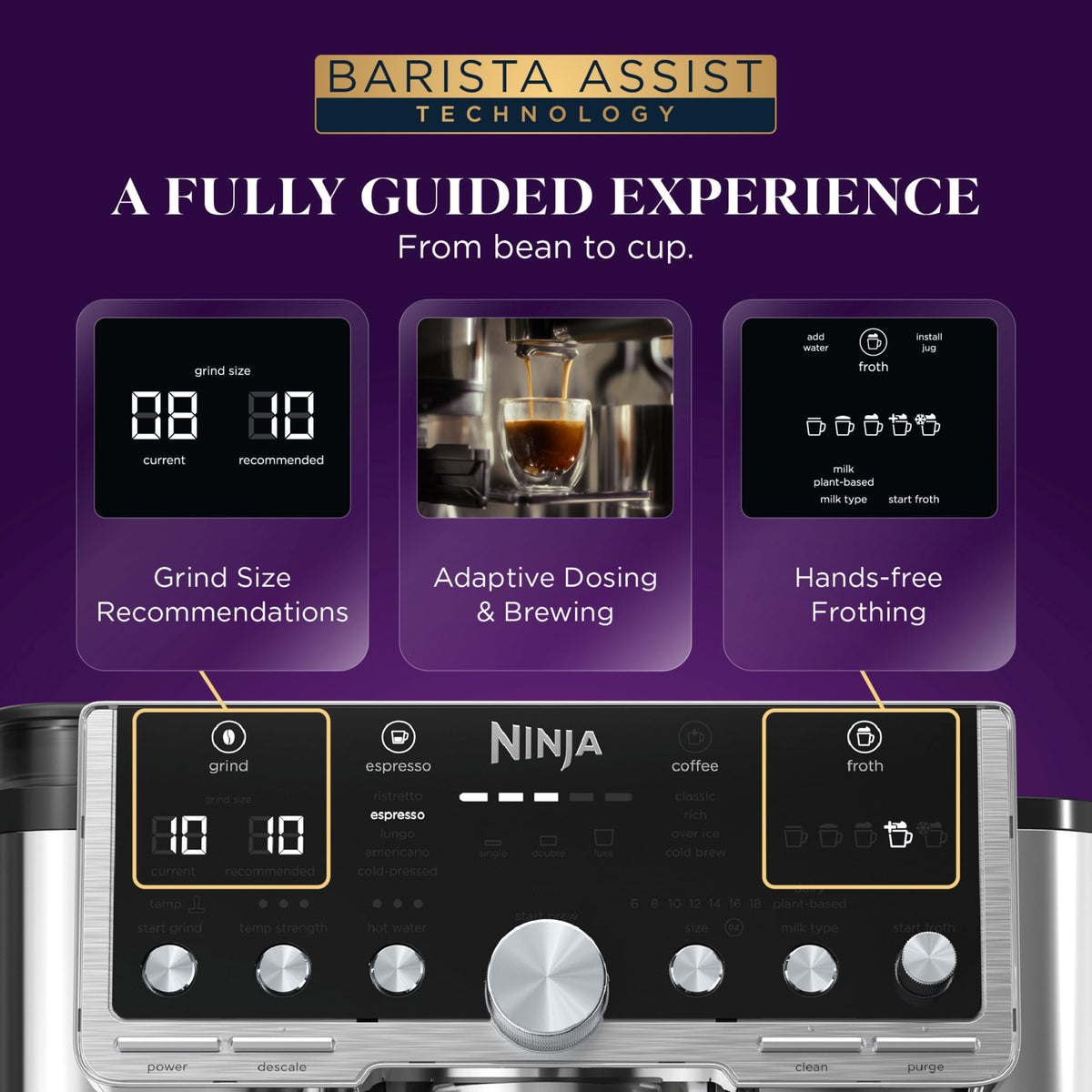 Espresso Cold Brew Hot Water N491