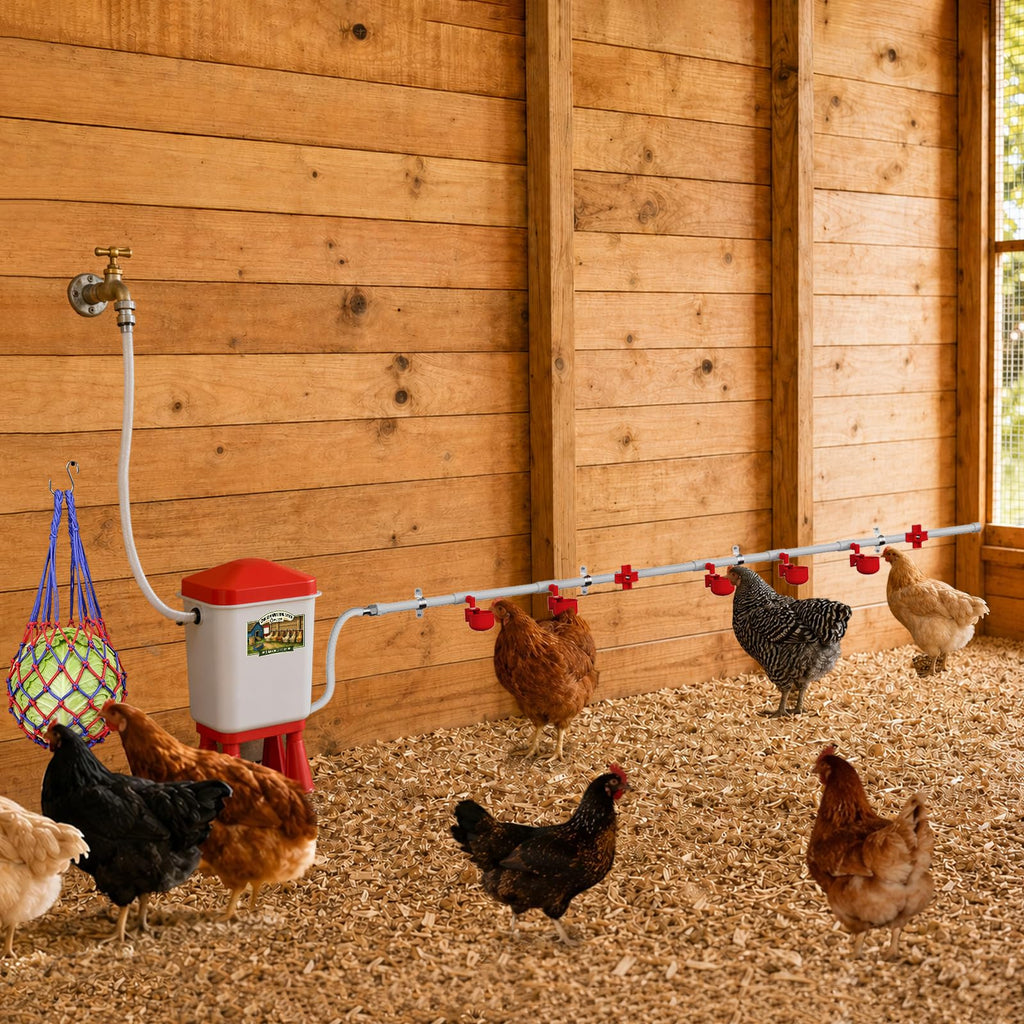 3 Gallon Automatic Chicken Waterer with 8 Cups and 8 Nipples E5850