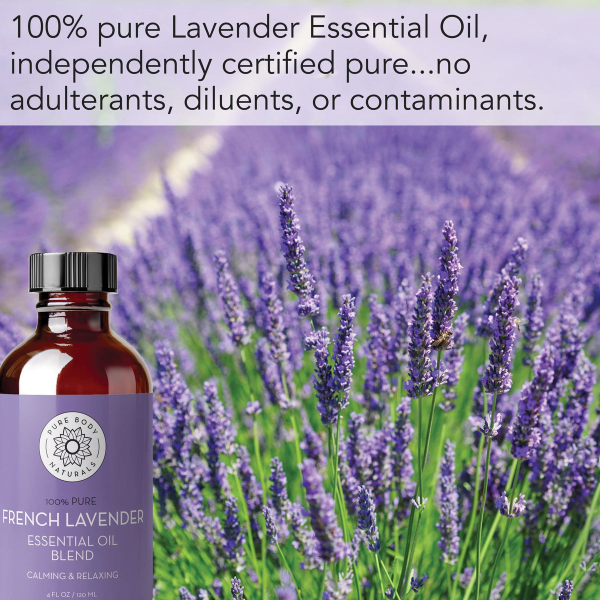 French Lavender Essential Oil 4 fl oz J137146