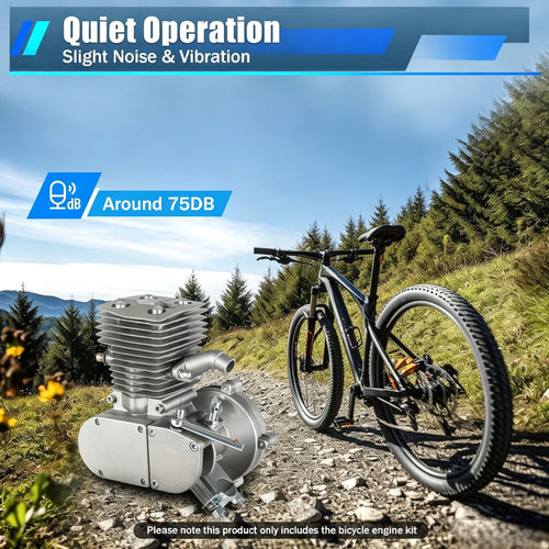 100cc 2-Stroke Bicycle Engine Kit T738467